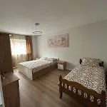 Cute Apartment At City Centre